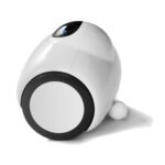 Cemara Smart Charger 5V 2A US Back