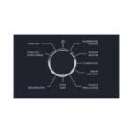 Four encastrable SAUTER SOP6204LB – Image 3