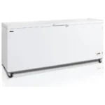 Congélateur pro TEFCOLD 16162