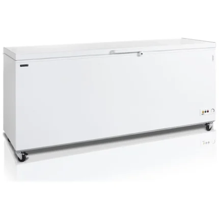 Congélateur pro TEFCOLD 16162