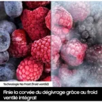 Congélateur encastrable SAMSUNG BRZ22600EWW/EF – Image 14