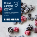 Congélateur coffre LIEBHERR CFD2505-26 – Image 9