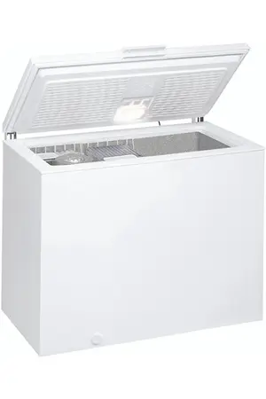 Thomson TCH316E congélateur coffre